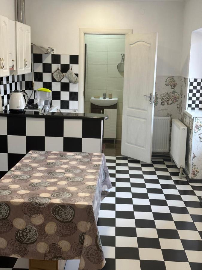 Private House Villa Berehove  Bagian luar foto